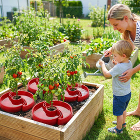 Meimaao versatile for home gardens compatible with raised beds, in-ground plots, and containers.