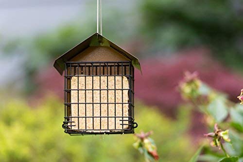 MEKKAPRO backyard bird feeder offers secure outdoor use.