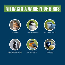 MEKKAPRO double-sided feeder invites longer visits from garden birds.