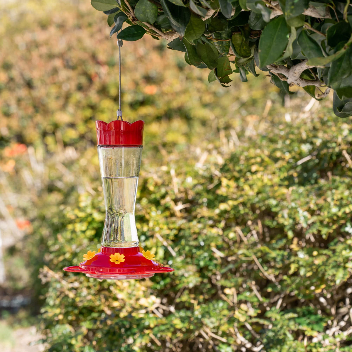 MEKKAPRO in a cozy backyard setting ready for birds to visit