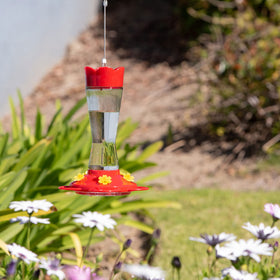 MEKKAPRO five perches invite hummingbirds to perch during feeding