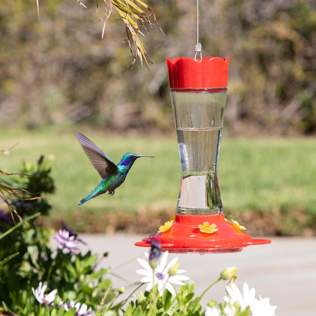 MEKKAPRO hummingbird feeder, red glass, clear body for nectar checks.