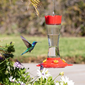 MEKKAPRO hummingbird feeder, red glass, clear body for nectar checks.