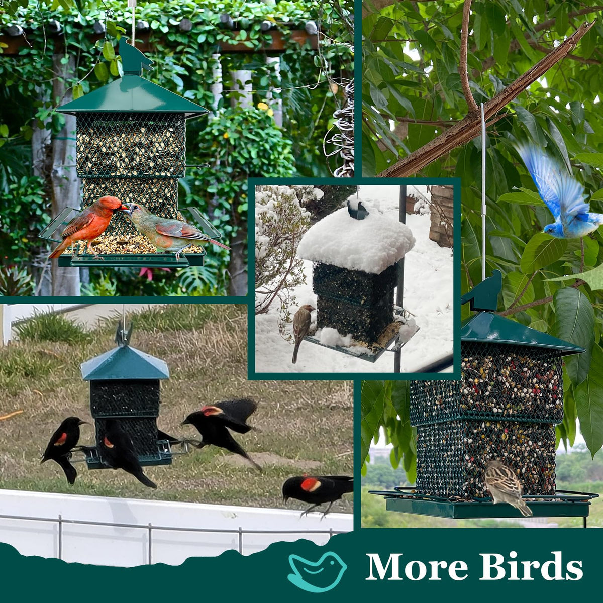 Meleave green decorative bird feeder adds garden style and attracts birds.
