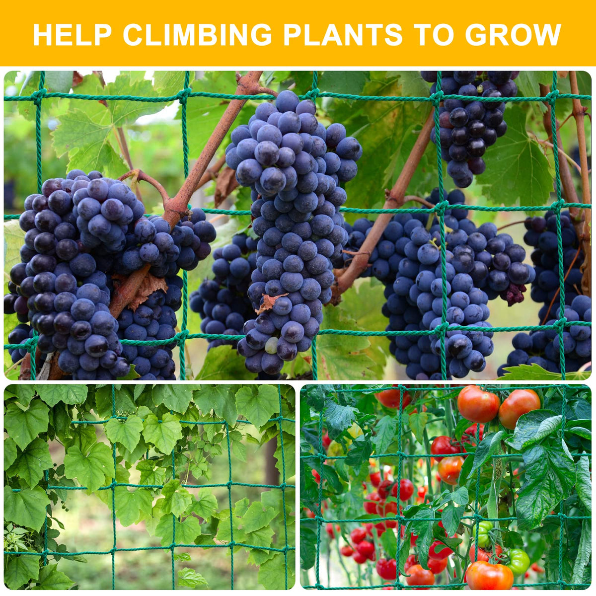 MELOHO plant clips secure vines to the trellis for tidy growth.