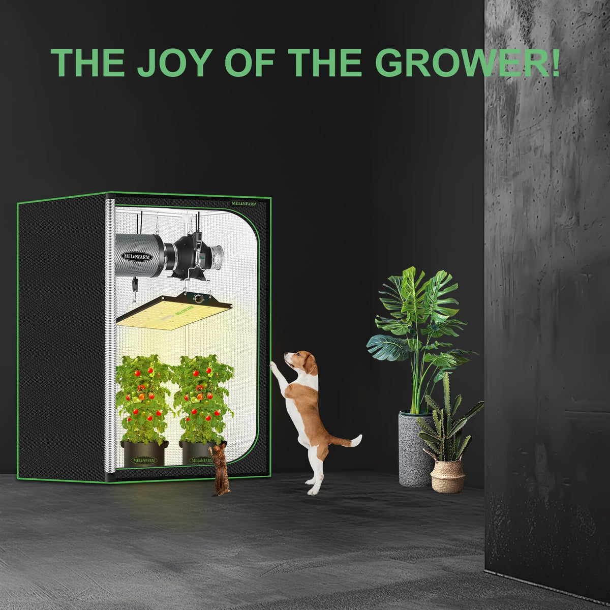 MelonFarm grow tent ready-to-assemble design enables tool-free setup.
