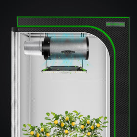Compatibilidad con ductos inline y sistemas de grow tent para filtración.