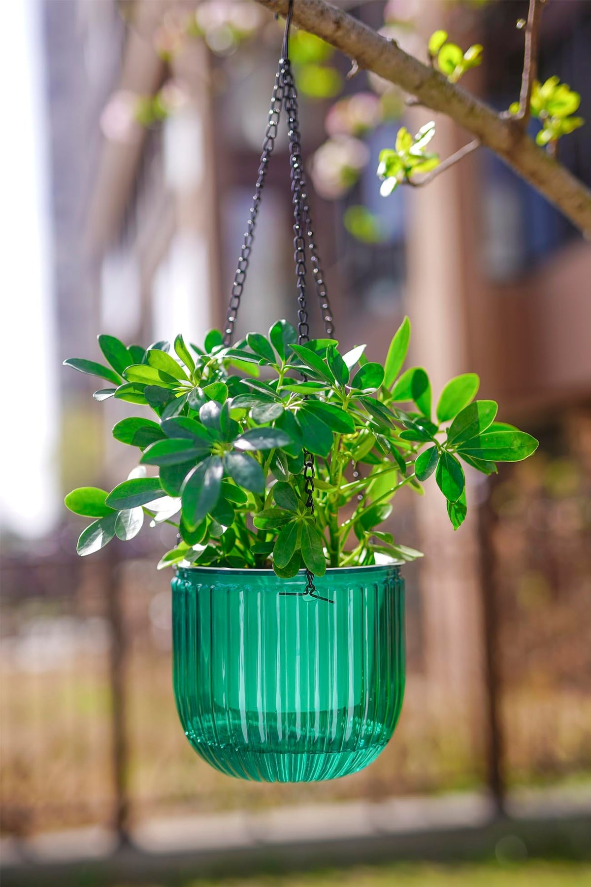 Includes three hooks for secure mounting and flexible arrangement