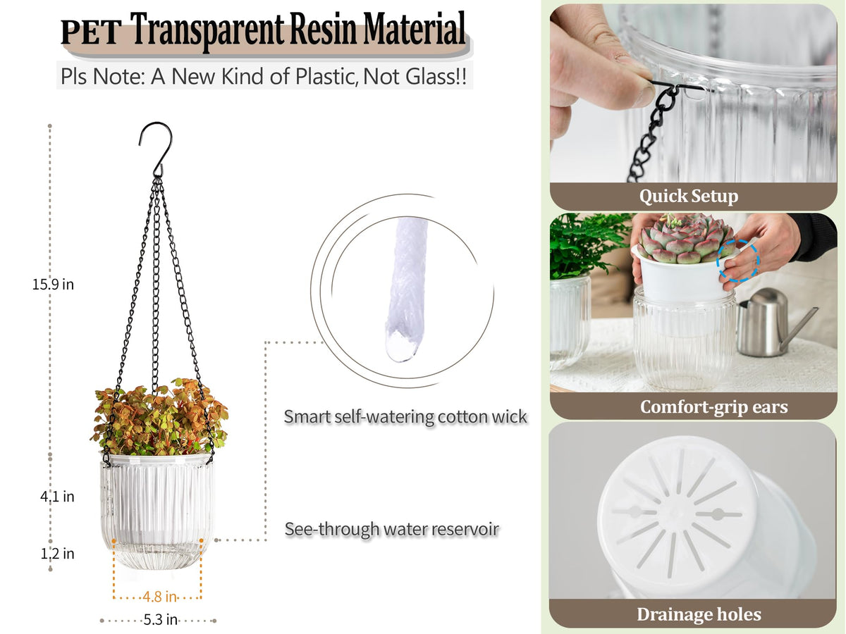 Melphoe transparent pot design lets you monitor water and refill.