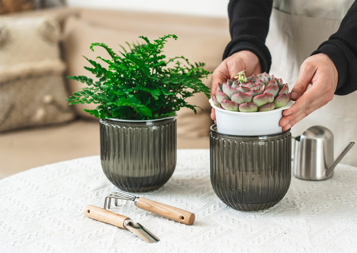 Melphoe inner-pot drainage holes ensure airflow and healthy roots with tidy excess water drainage.
