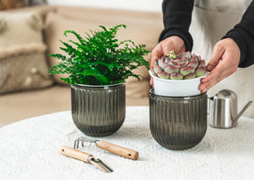 Melphoe inner-pot drainage holes ensure airflow and healthy roots with tidy excess water drainage.
