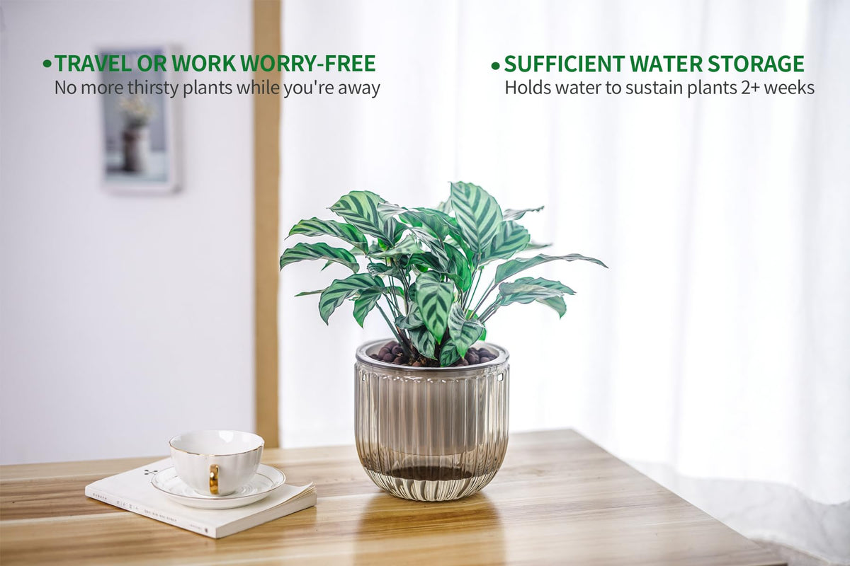 Melphoe inner pot with 12 drainage holes promotes air flow to roots.