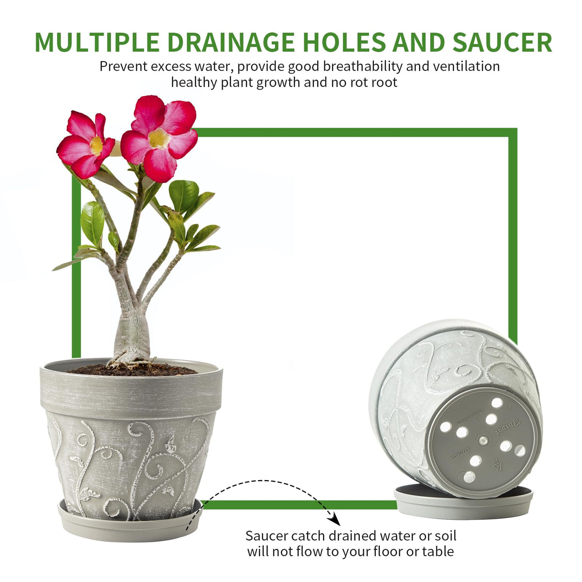 Melphoe 2-pack plant pots for coordinated indoor arrangements.
