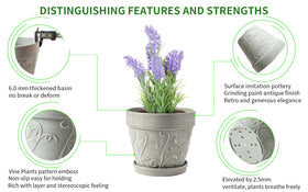 Melphoe 7-inch pot with 6mm thick walls for durability.
