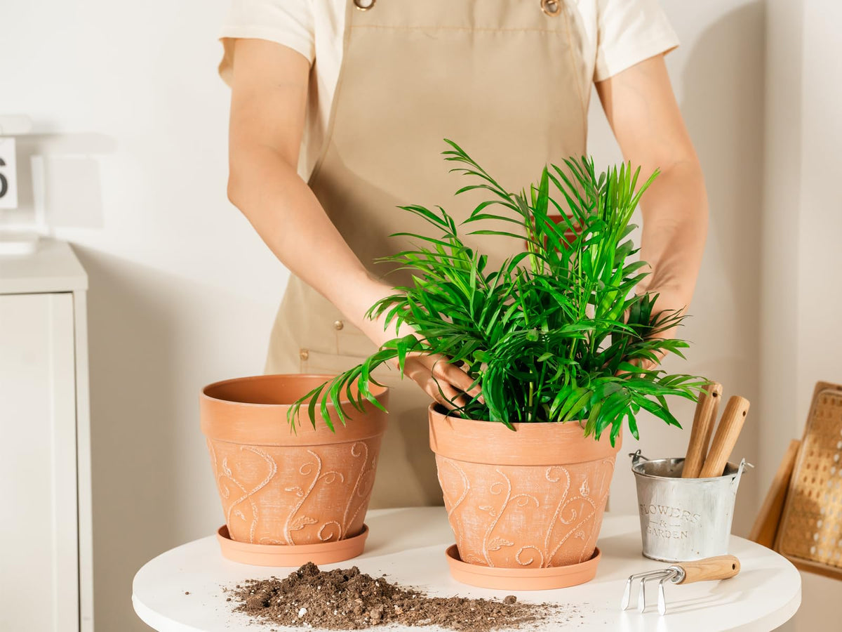 Bottom airflow design on Melphoe pot supports plant respiration.