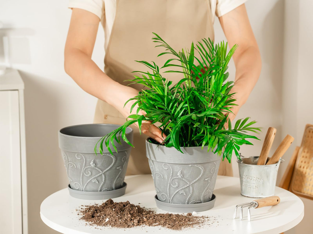 Melphoe pot bottom is elevated to promote airflow.