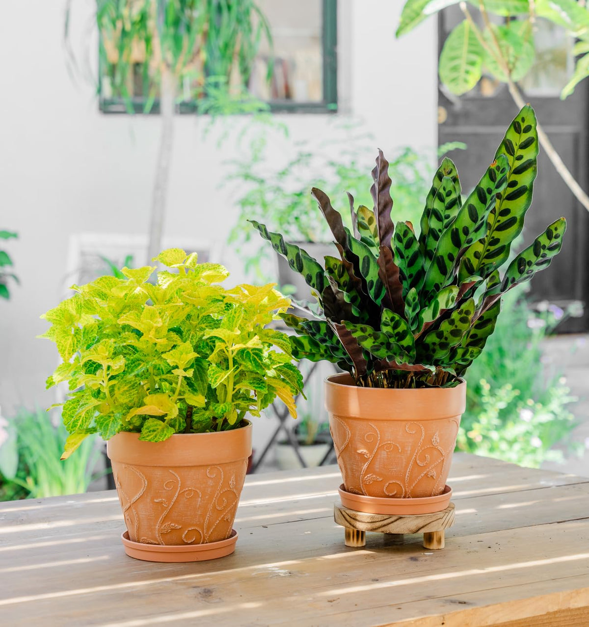 Two-pack Melphoe display setup, saving space and matching decor.