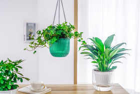 Rust-resistant triple hooks provide stable hanging support for Melphoe planters