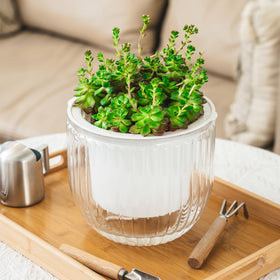 Melphoe self-watering hanging planter detachable chains add versatile mounting options.