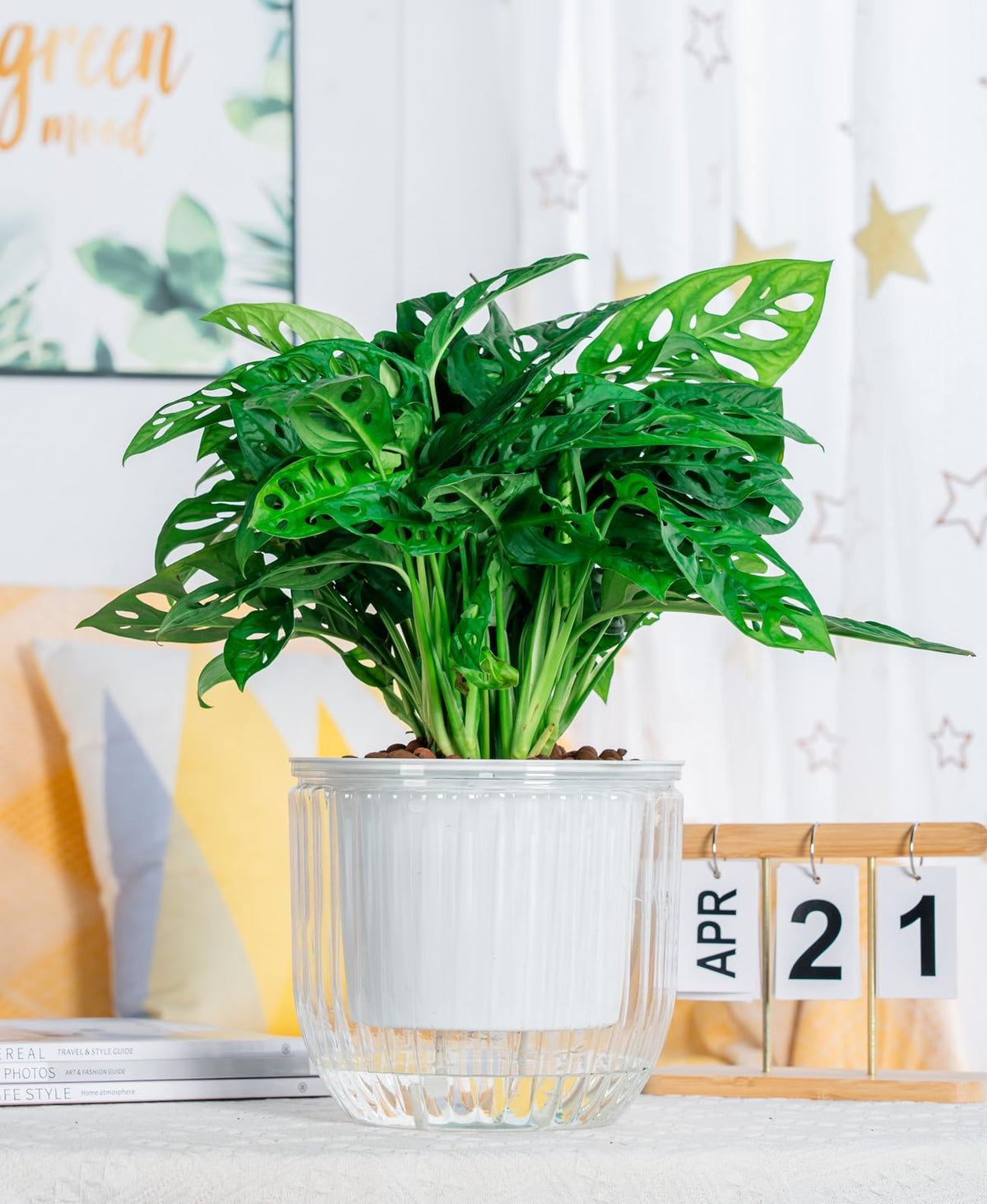 Melphoe self-watering hanging planter flat-bottom keeps it stable on desks.