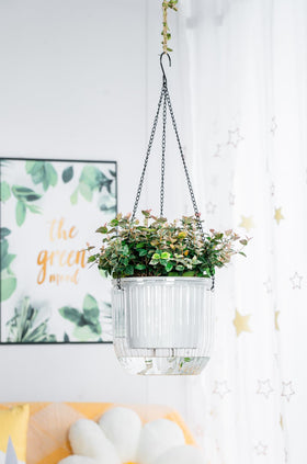 Melphoe self-watering hanging planter patio use withstands sun and weather.