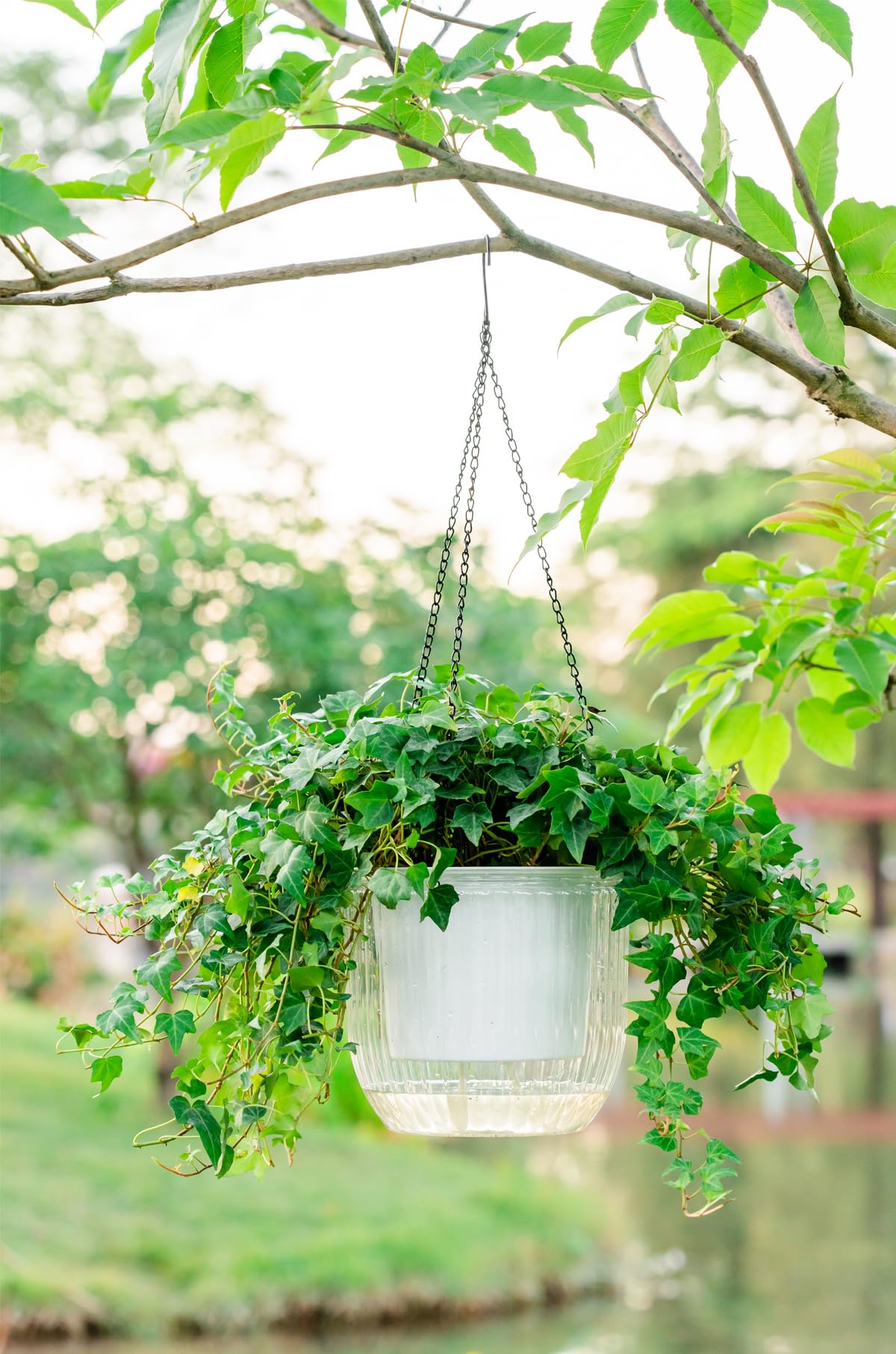 Melphoe self-watering hanging planter PET material for lightweight durability.