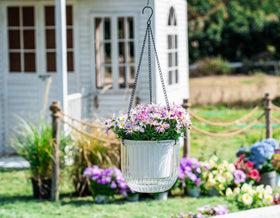 Melphoe self-watering hanging planter water level view highlights easy monitoring.