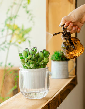 Melphoe pot uses cotton rope to feed plants during travels.
