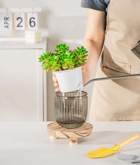 Melphoe pot available in multiple sizes for various plants.