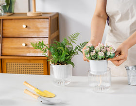 Melphoe pot features a transparent body to monitor moisture.