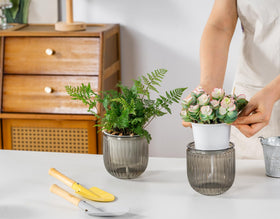 Melphoe pot shows visible water level for easy refills.