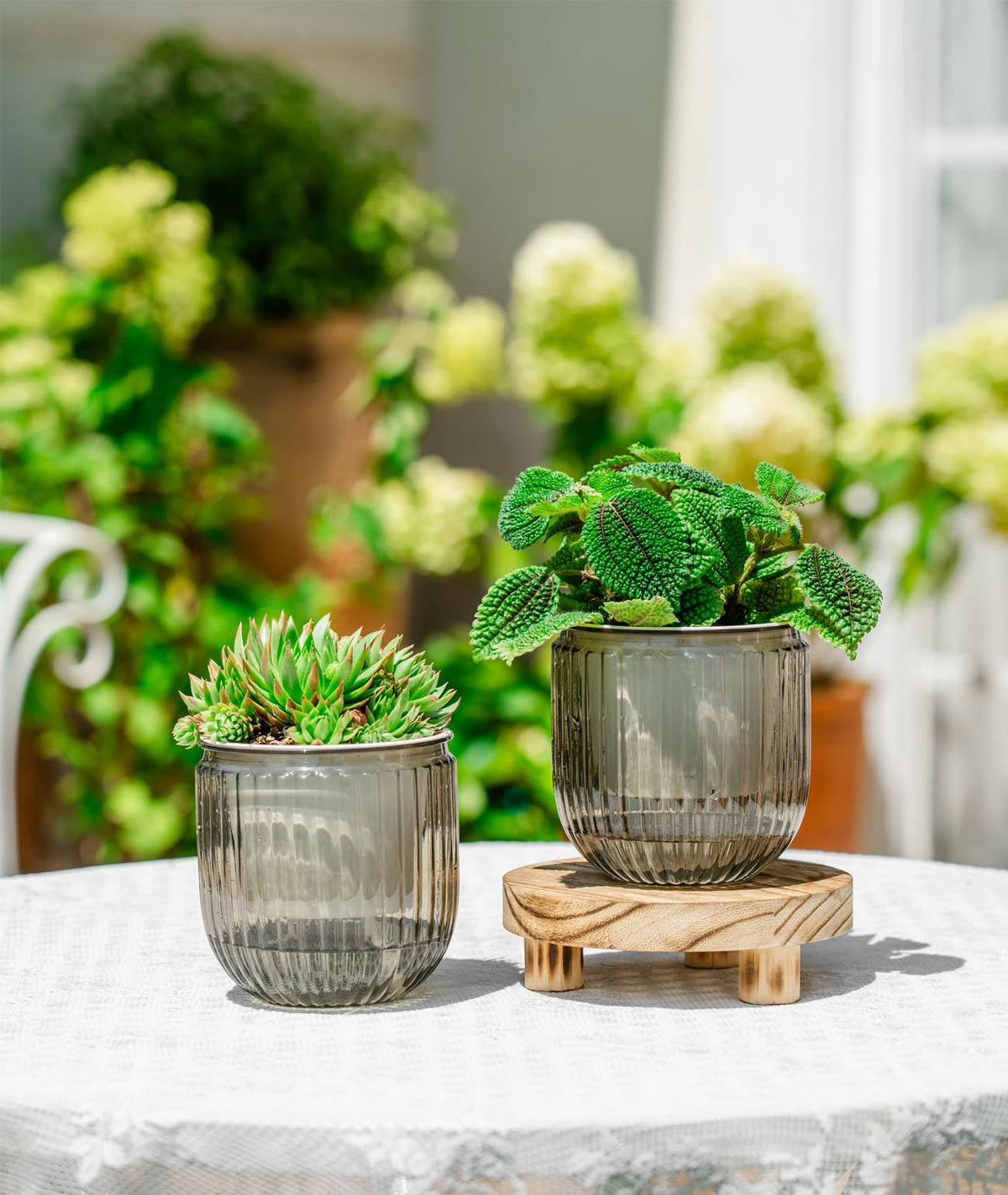 Melphoe self-watering pot interior wick system ensures steady moisture delivery.