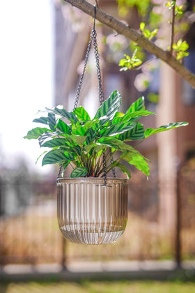 Melphoe sturdy thick hanging chain adds stability while hanging.