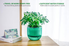 Versatile planters suitable for herbs, succulents, ivy, and flowers