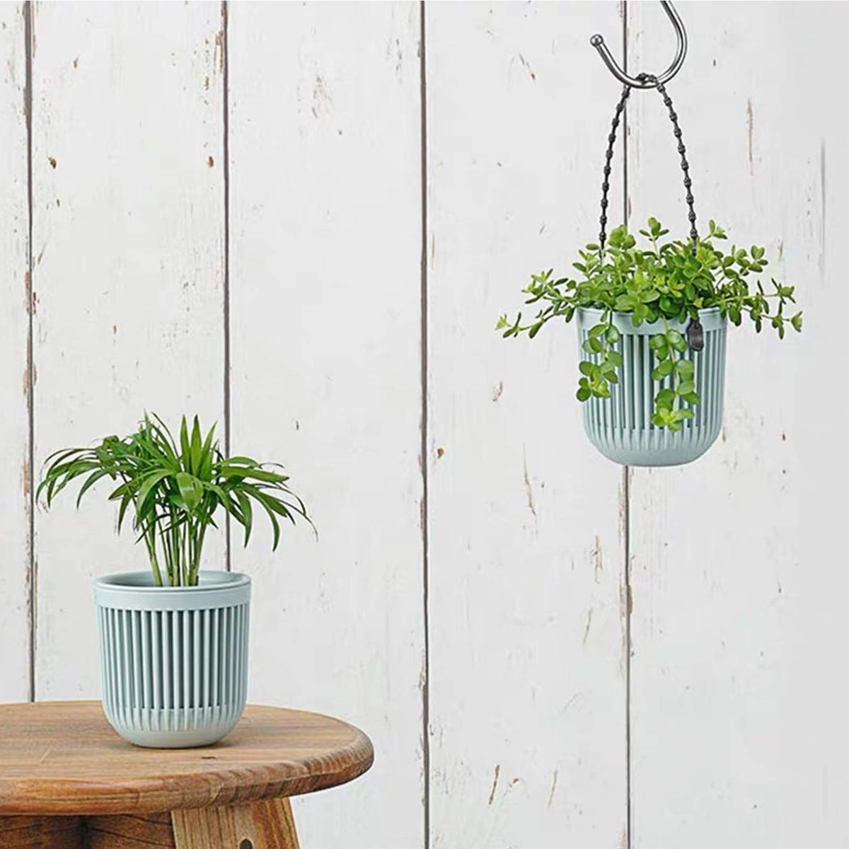 Melphoe wall and window planters for compact decor
