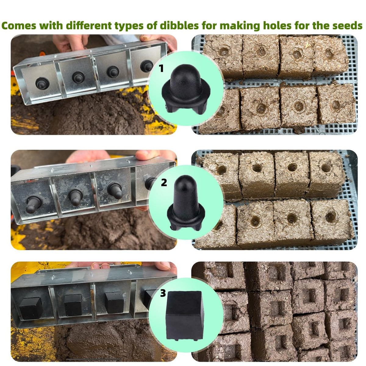 MELVTATA square 2x2 inch seed blocks ready for transplanting
