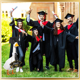 Memorywuu Graduation garden decor transforms patios into festive celebration spaces.