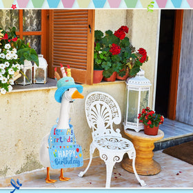 Memorywuu Porch display featuring goose birthday outfit for celebrations