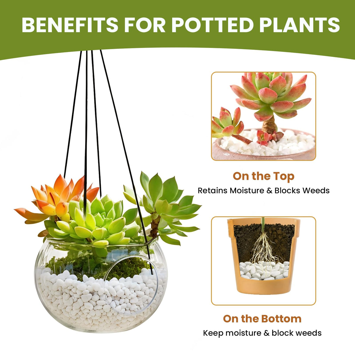 Mengdewei vase filler terrarium pebbles for decor.