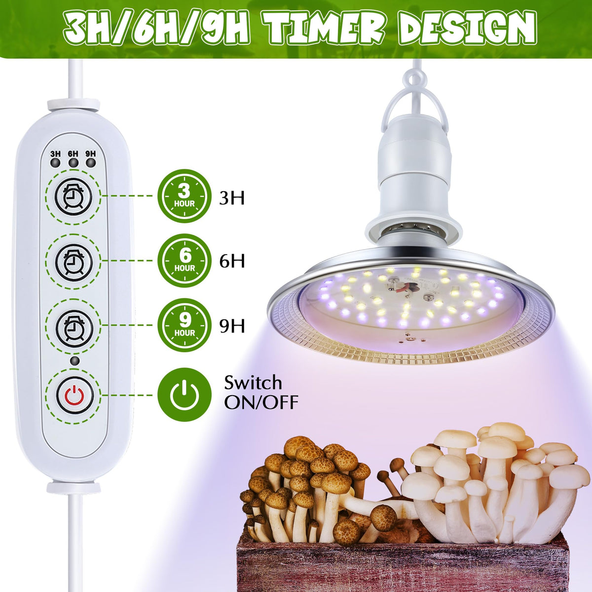 Meonum 10W LED blue and white spectrum energizes early pinning and mycelium growth