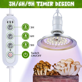 Meonum 10W LED blue and white spectrum energizes early pinning and mycelium growth