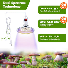 Meonum 30x20x20 inch tent supports inoculation and culture steps at home.