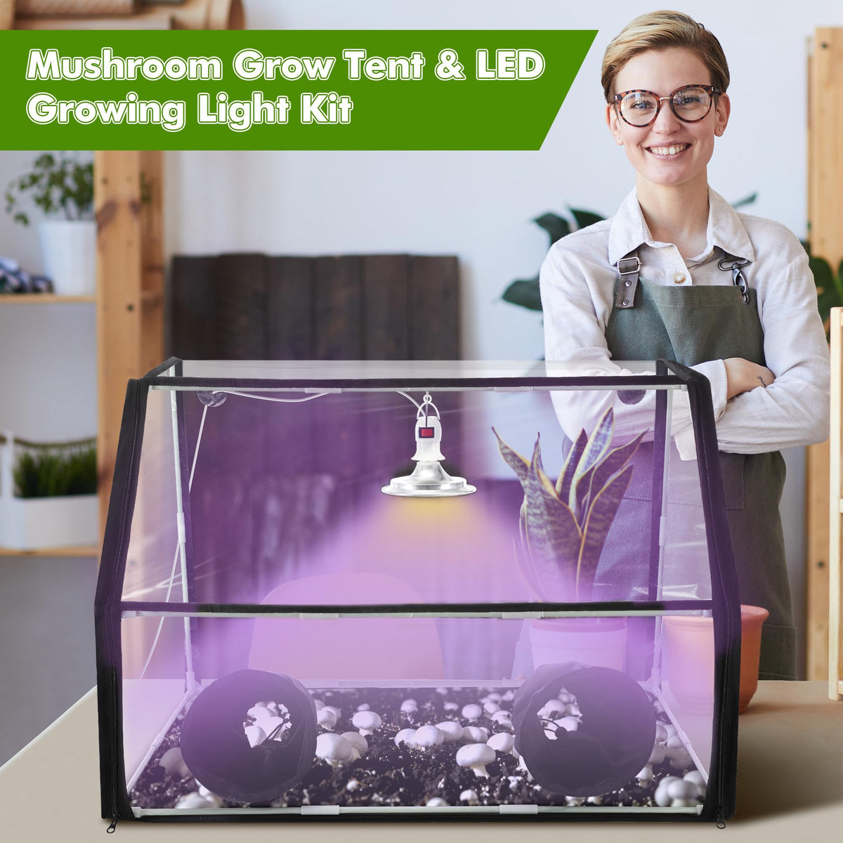Meonum dual-spectrum grow light delivers balanced blue and white light for even growth.