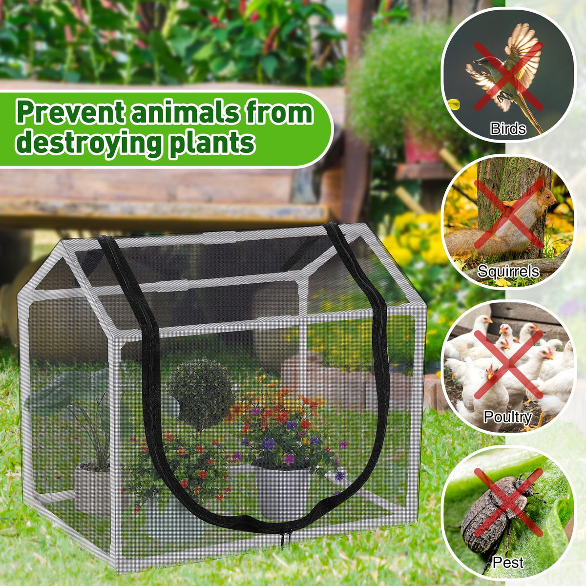 Meonum Mesh cover blocking harsh sunlight while maintaining airflow for seedlings