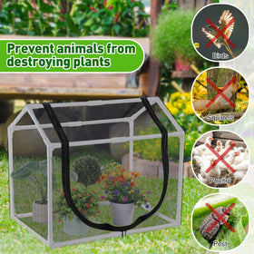 Meonum Mesh cover blocking harsh sunlight while maintaining airflow for seedlings