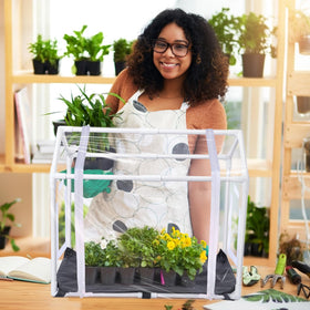Meonum Mini Greenhouse compact storage fits small living spaces.