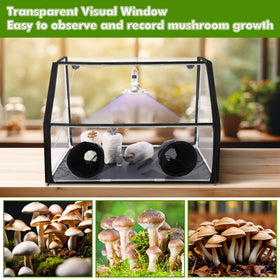 Meonum mushroom cultivation kit provides a controlled environment for observed growth.