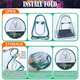 Meonum ventilation window helps regulate humidity for seedling care.
