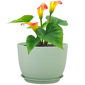Meowell 12-inch big pot with durable plastic for outdoor use and long-lasting performance.