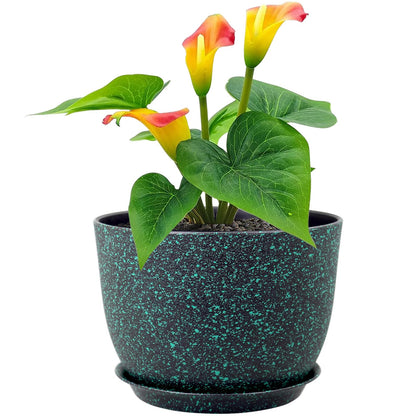Meowell 12-inch pot with drainage holes and saucer supports healthy watering.